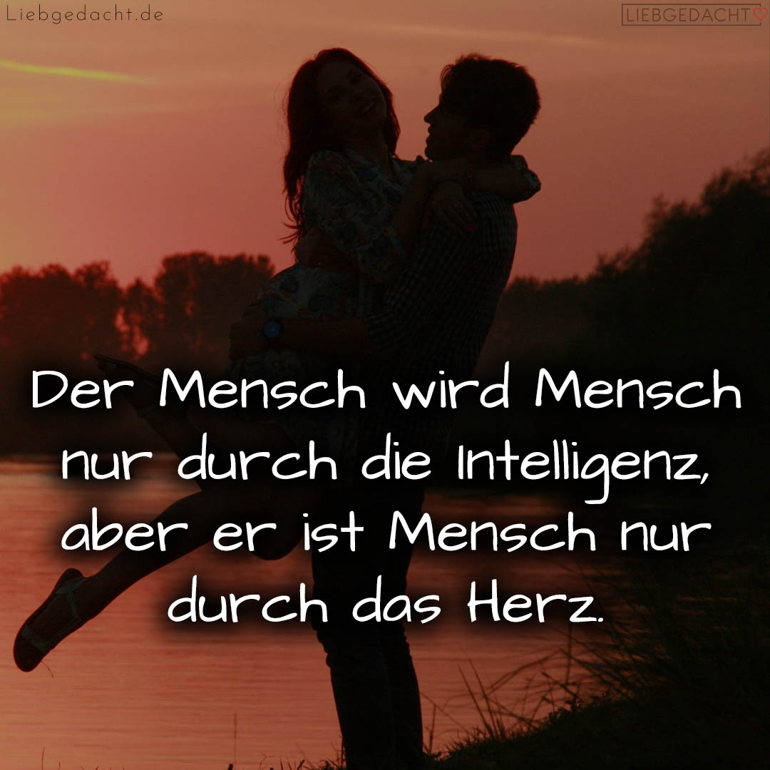 1716377533664dd7bdaec10