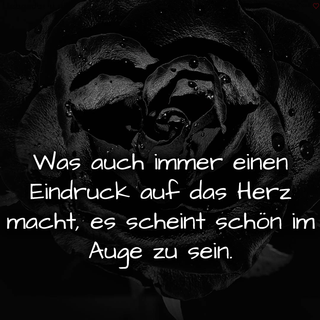 1716377547664dd7cbc9d5a