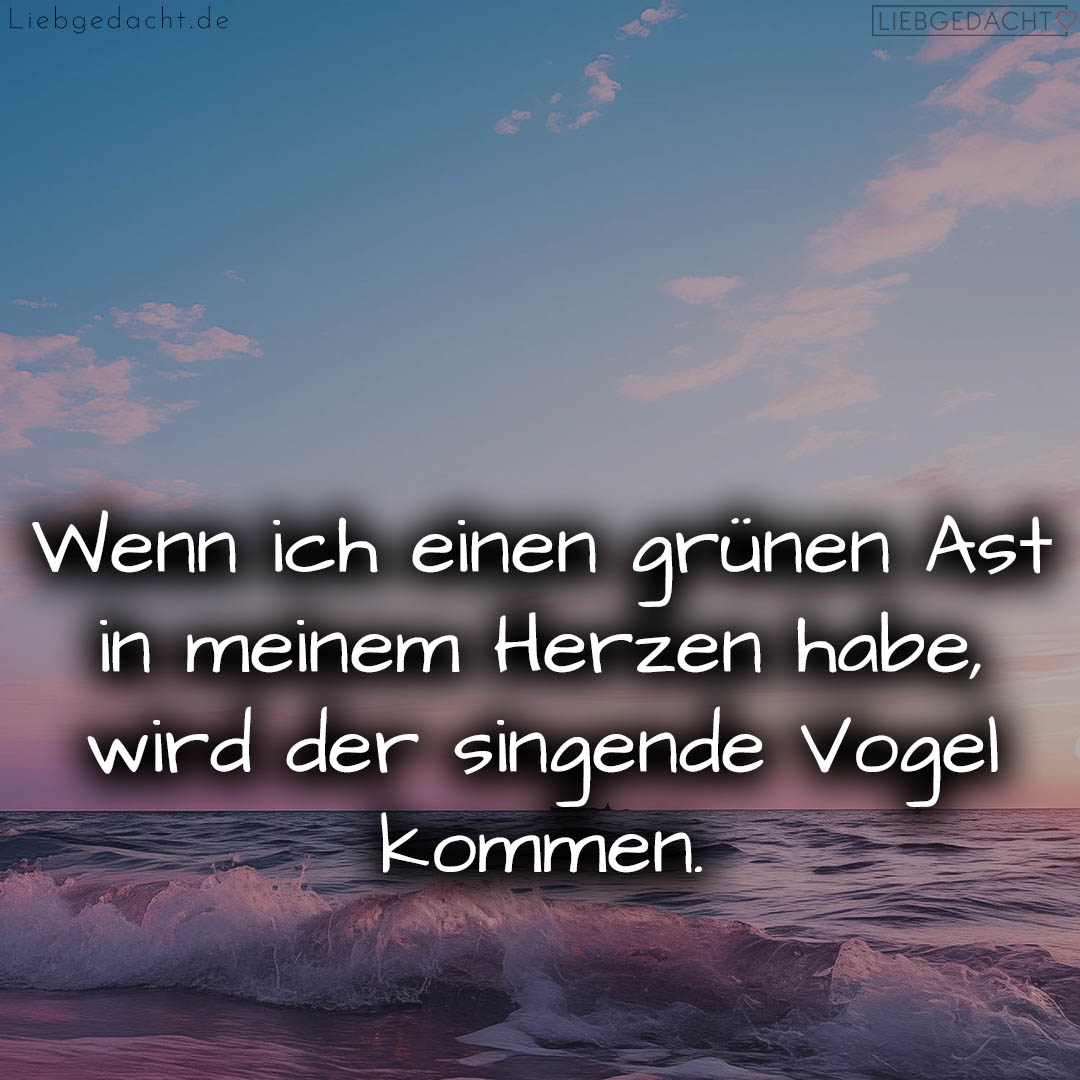 1716377556664dd7d44226f