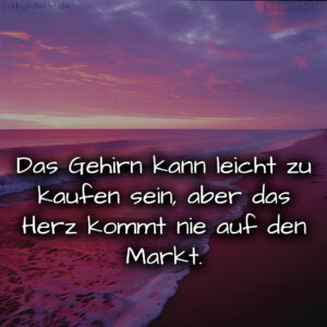 1716377568664dd7e08ee44