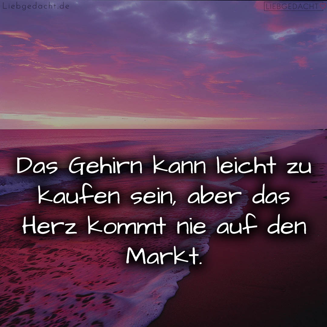 1716377568664dd7e08ee44