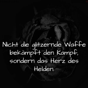 1716377572664dd7e4e5462