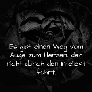 1716377575664dd7e7c7f4c