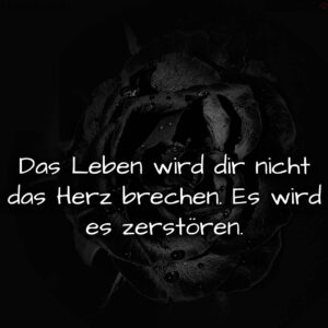 1716377624664dd8180cdcc