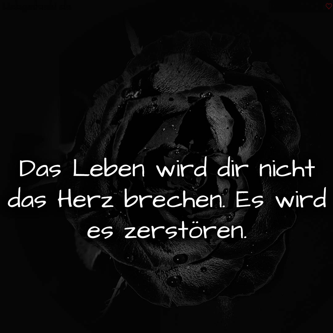 1716377624664dd8180cdcc