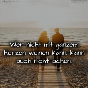 1716377626664dd81ae4fc5