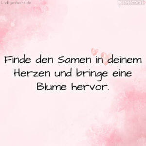 1716377630664dd81ea174f