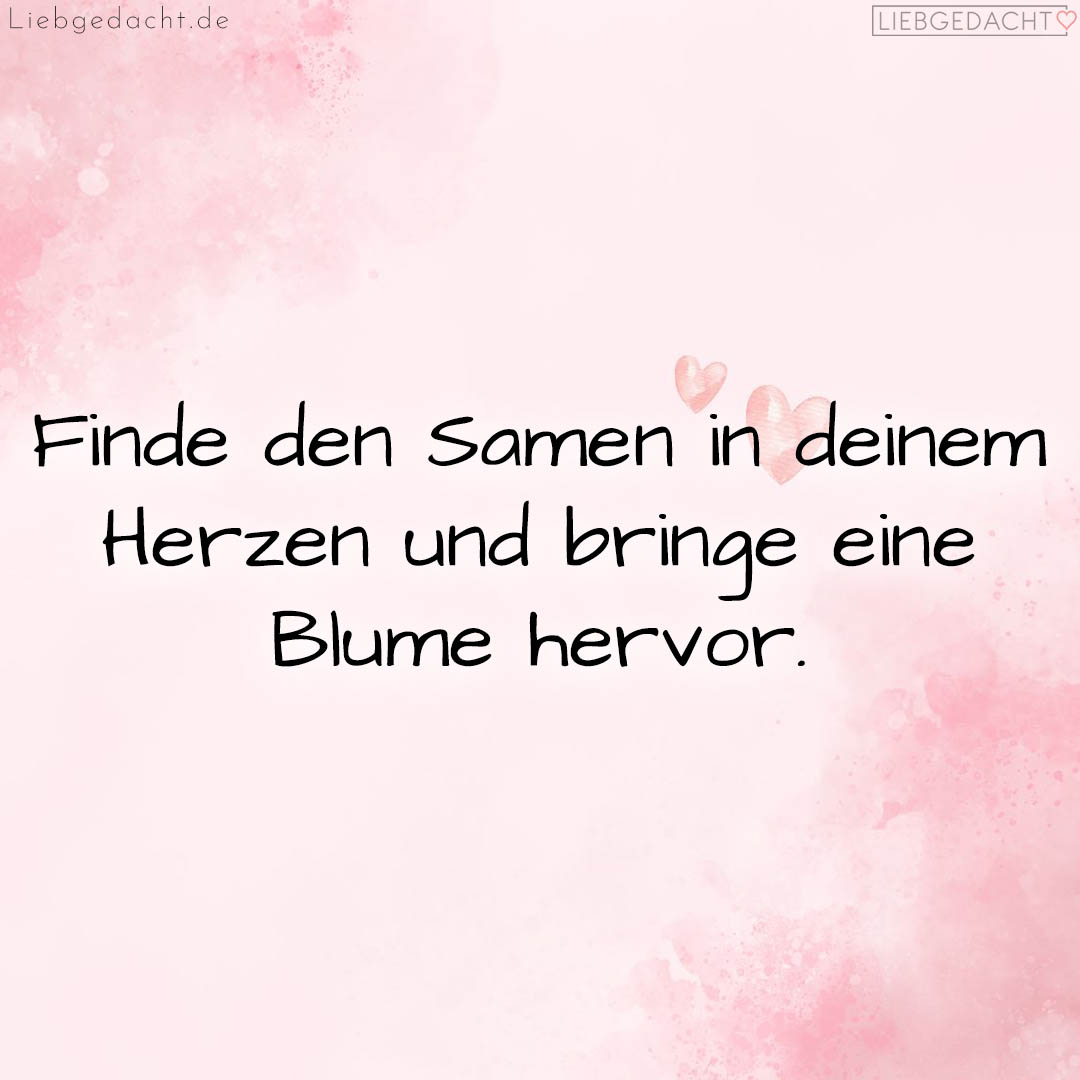 1716377630664dd81ea174f