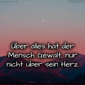 1716377634664dd8228235d