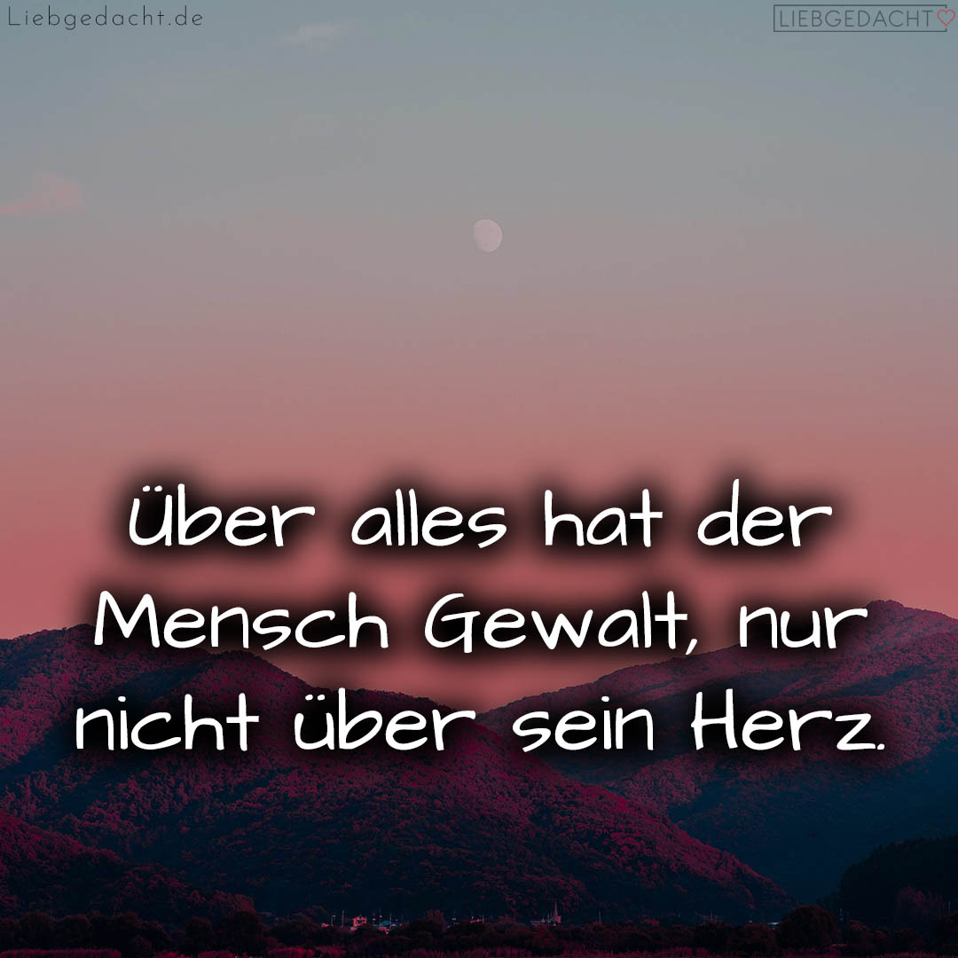 1716377634664dd8228235d