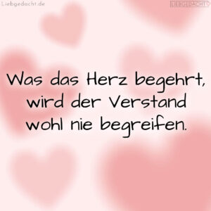 1716377636664dd824bd7e6