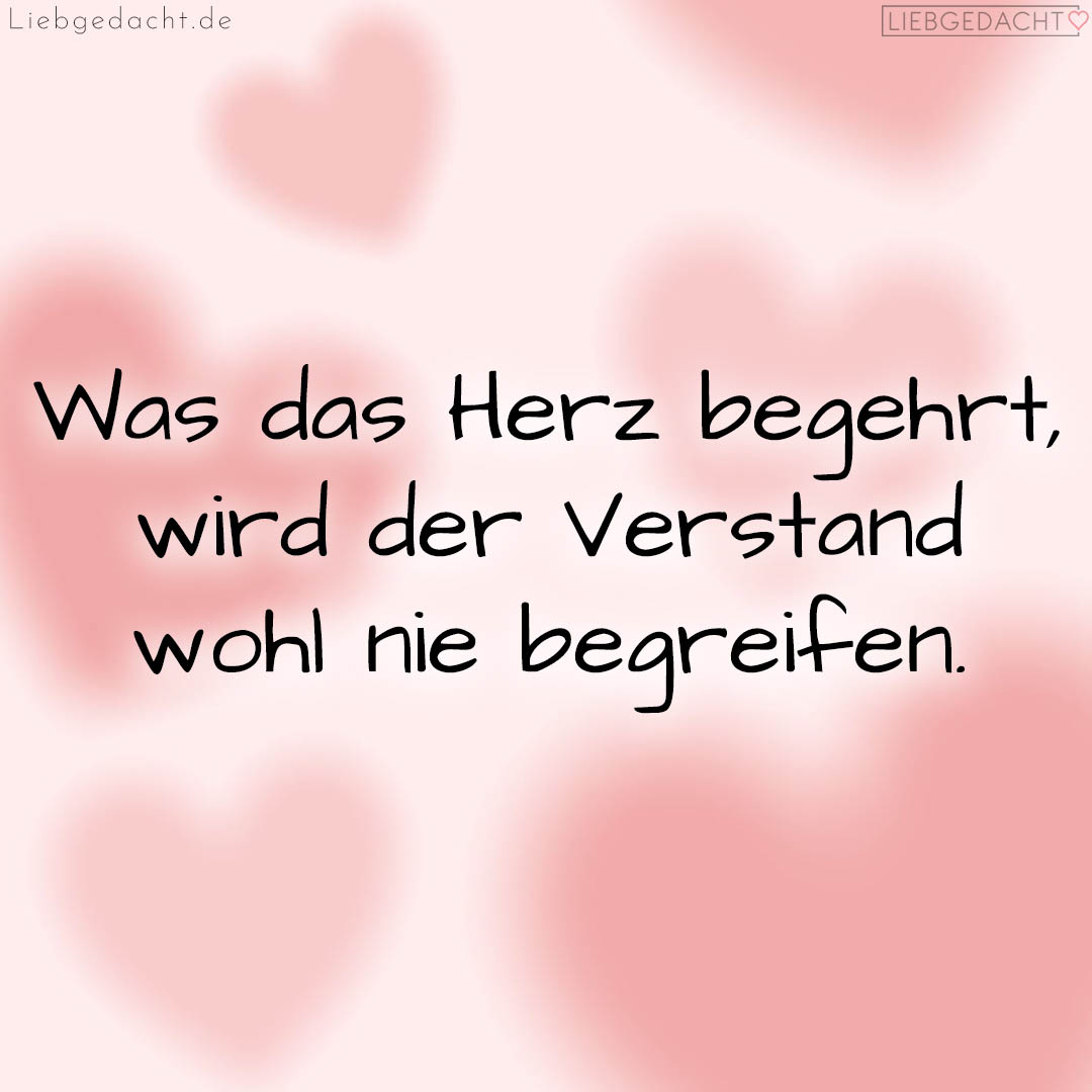 1716377636664dd824bd7e6