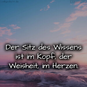 1716377641664dd829c811b