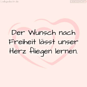 1716377642664dd82a3dcc0