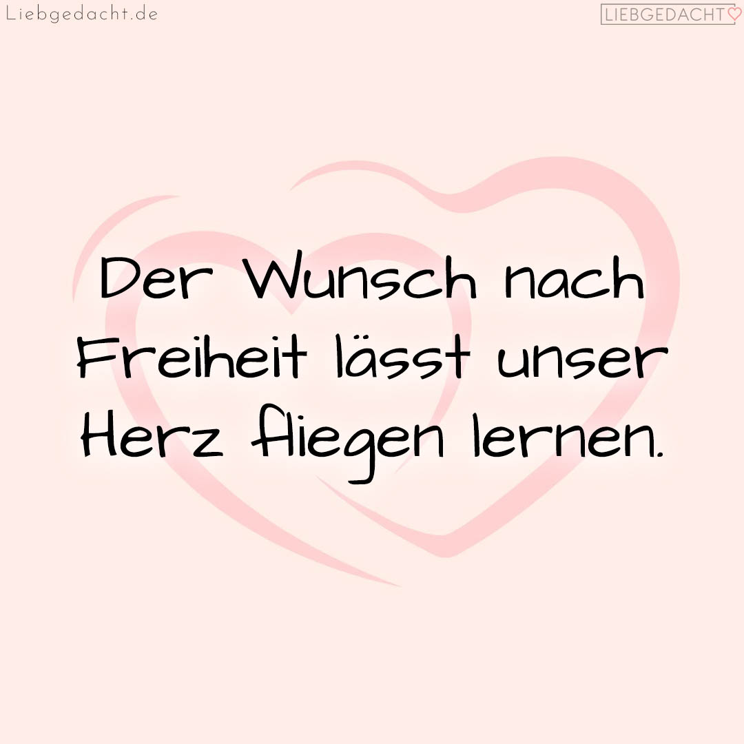 1716377642664dd82a3dcc0