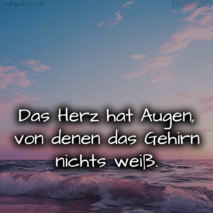 1716377672664dd848bdd87