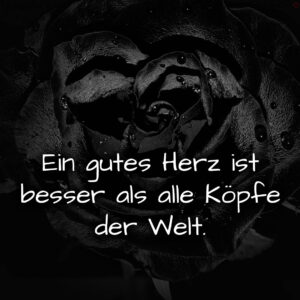 1716377690664dd85ae1c47