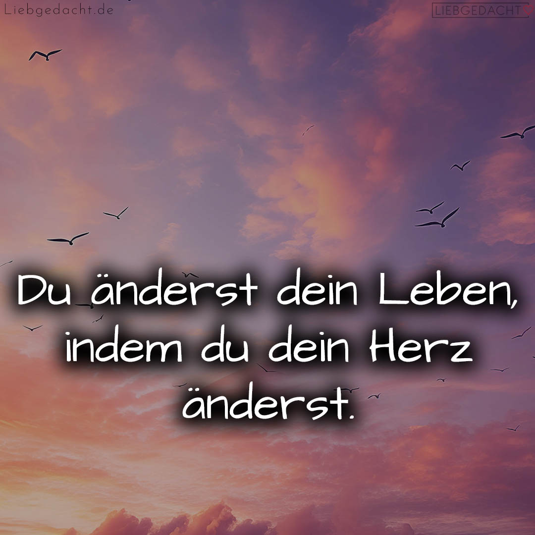 1716377692664dd85cd1f74