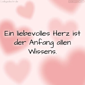 1716377695664dd85f15583