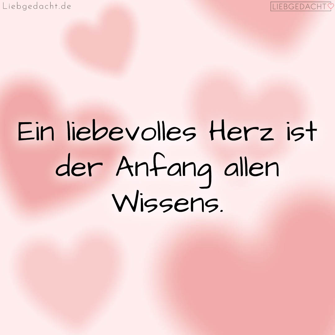 1716377695664dd85f15583