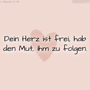 1716377699664dd863709aa