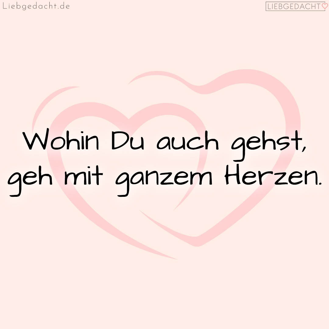 1716377715664dd8739e2c1