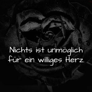 1716377718664dd87651758