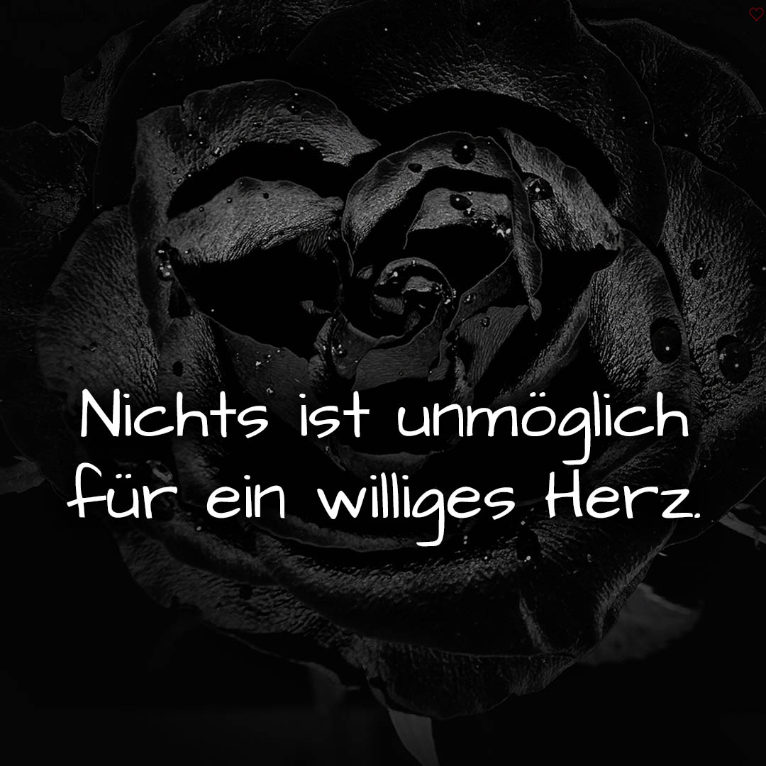 1716377718664dd87651758