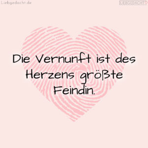 1716377723664dd87b84fa8