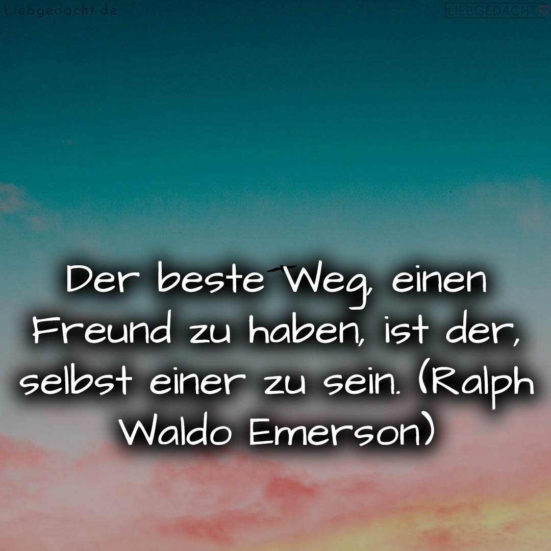 1716377770664dd8aa00a8c