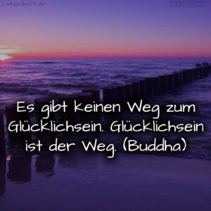 1716377799664dd8c71981d