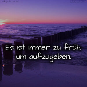 1716377824664dd8e07f54e