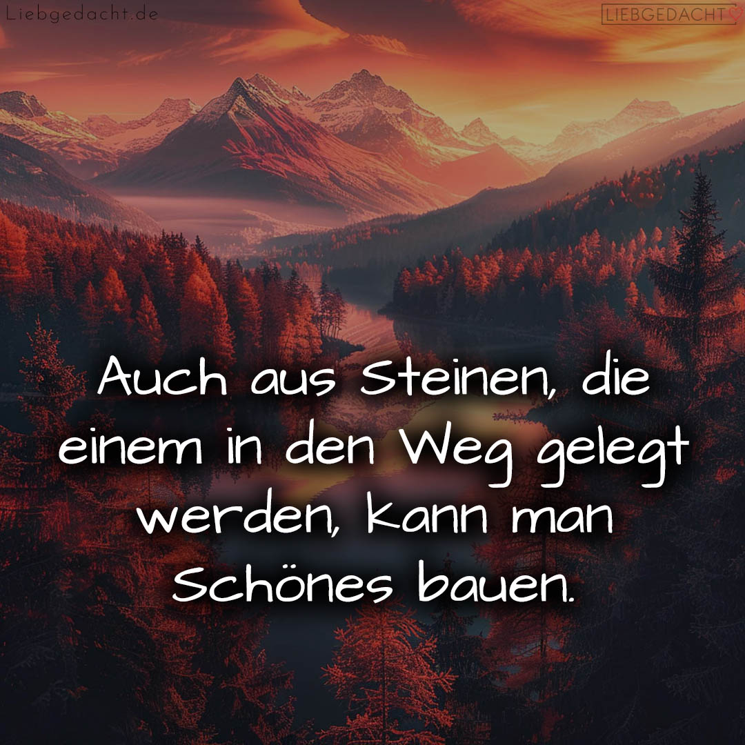 1716377836664dd8ec13412