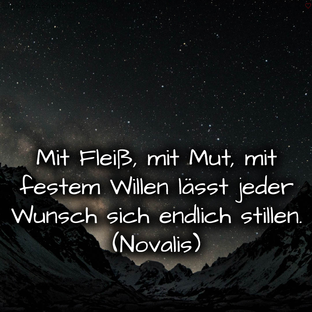 1716377846664dd8f686c93