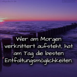 1716377891664dd923445cb