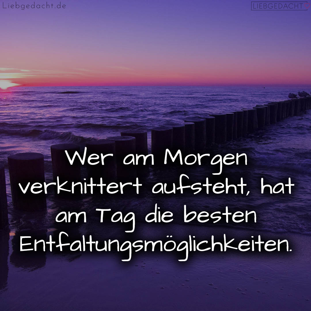 1716377891664dd923445cb