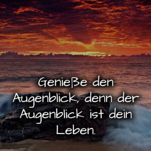 1716377905664dd9314983a