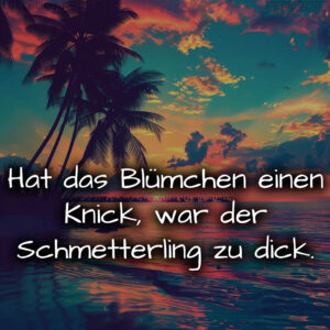 1716377918664dd93ee6dcd