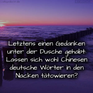 1716377938664dd952c2727