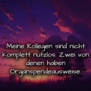 1716377945664dd95942506