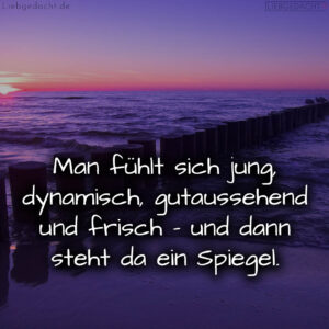 1716377957664dd96555f0e