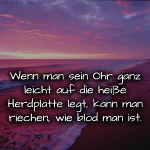 1716377976664dd97867533