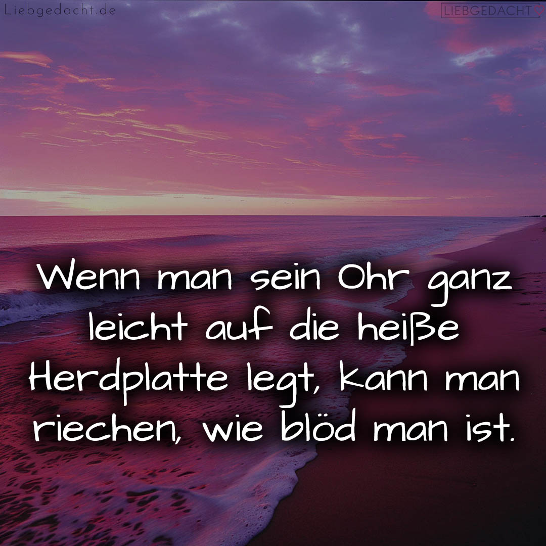 1716377976664dd97867533