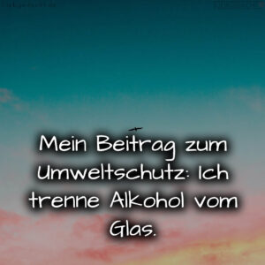 1716377982664dd97e4a719