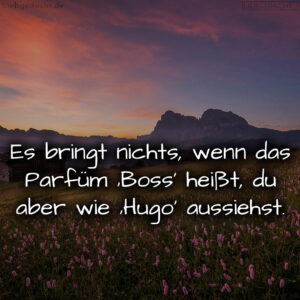 1716377989664dd985d40cb