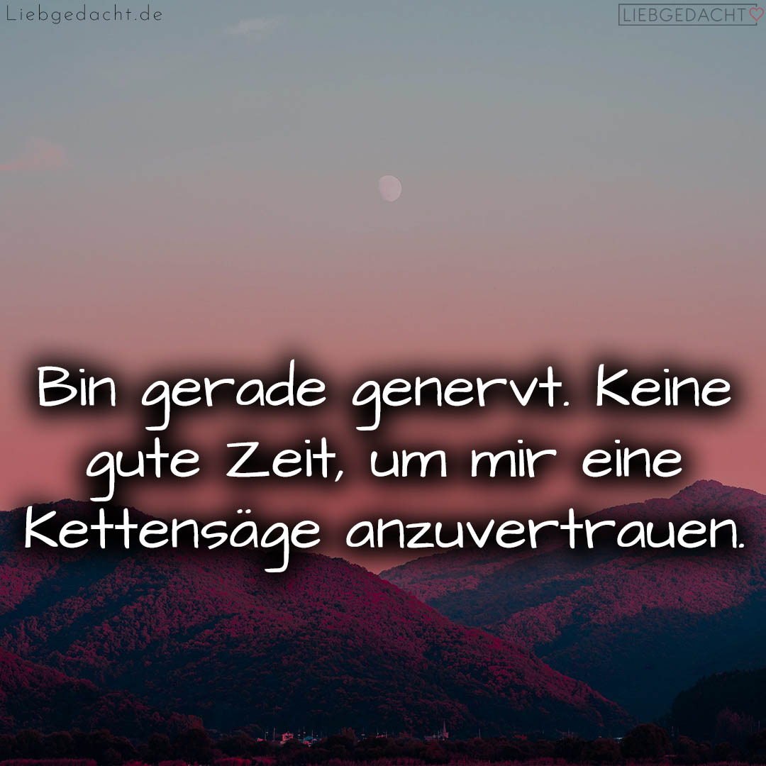 1716378025664dd9a9d46a8