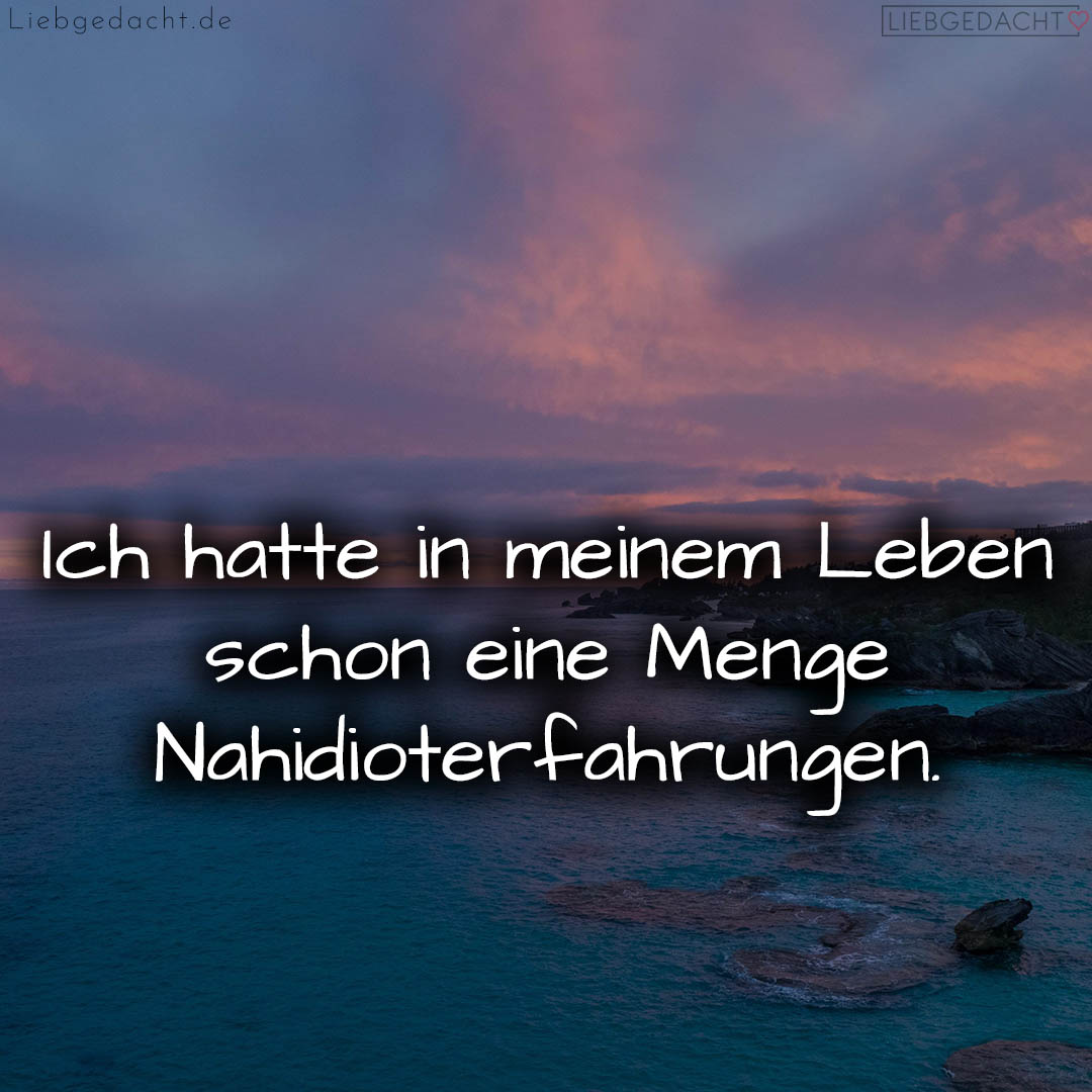 1716378031664dd9af2bca7