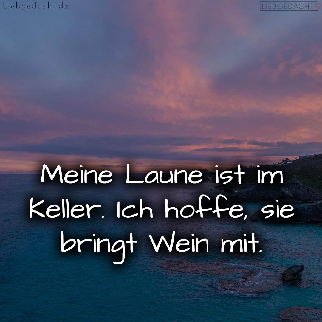 1716378037664dd9b5da1f6