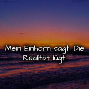 1716378051664dd9c36061f