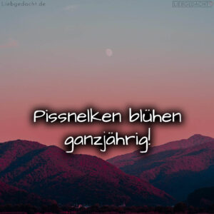 1716378129664dda11d7f2d